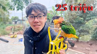 Dương KC | Chú Vẹt Siêu Thông Minh Biết Nhặt Đồ Vứt Vào Thùng Rác | Super Smart Parrots