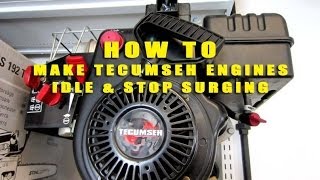 HOW TO Make Your Tecumseh SNOWKING Engine Idle & Stop Surging