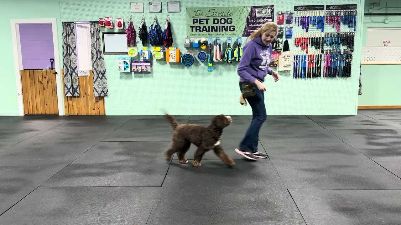 Sterling - Warm ups with Find its & Name Recognition. Front, Side/Finish cues and Benefits. 