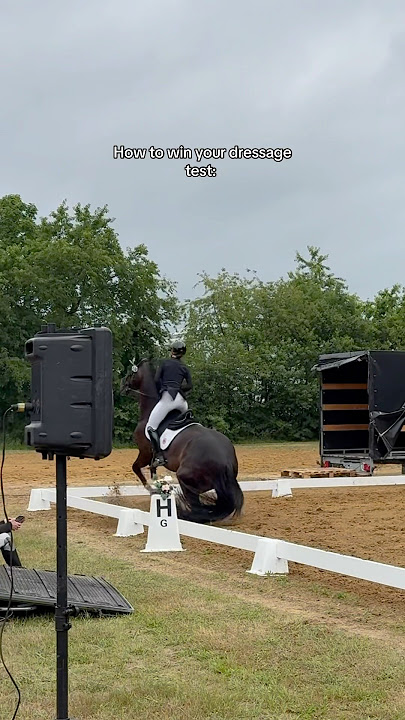 Bye bye Daristander 😂🐴 #horse #equestrain #short