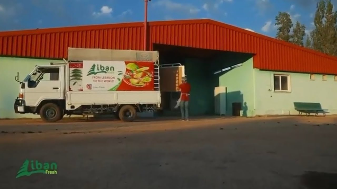 How Liban Fresh Imports Premium Lebanese Produce to Europe | Behind the Scenes