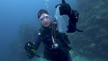 SC Johnson & Conservation International discuss ocean health  | The Plastic Bank