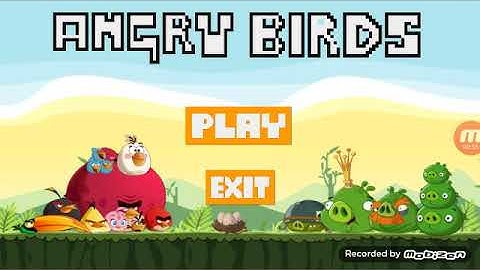 Angry Bird 3D game