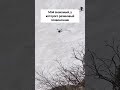 Есть предрасположенность, а есть профилактика и контроль