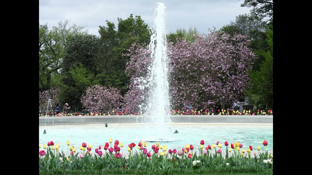 Exclusive White House Gardens Tour – Relaxing Visual Journey