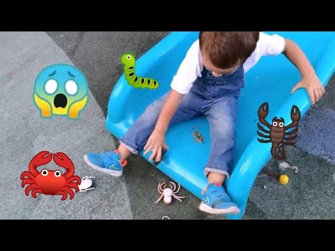 Eylül ve Poyraz Bebek Parkta Böceklerden Kaçtı | fun kids video