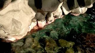 test video nokia 701
