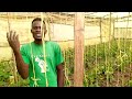 Kumubenda Sana Love Kumubenda Sana Love