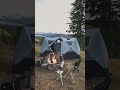 Best Pop Up Tents for Car Camping #campinggear #outdoorgear #hikinggear