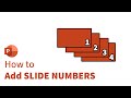 How to Add SLIDE NUMBERS in PowerPoint