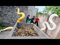 Brave soldiers used high-tech snake detectors to locate the giant python's nest.
