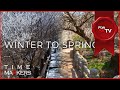 【 For 8KTV 】 【 8K 】 【 TIME 13:49 】 1MIN Moments &#39;Winter to Spring&#39; | 덕유산,매화마을