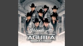 Video thumbnail of "Conjunto Aguila Real - Un Ángel"