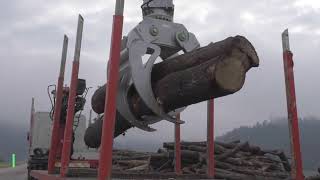 Modularis Bagger Holzgreifer (VERKAUFT)