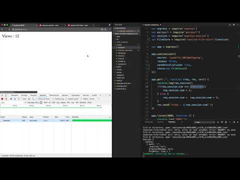 Web4 - Express Session & Auth 5. session store