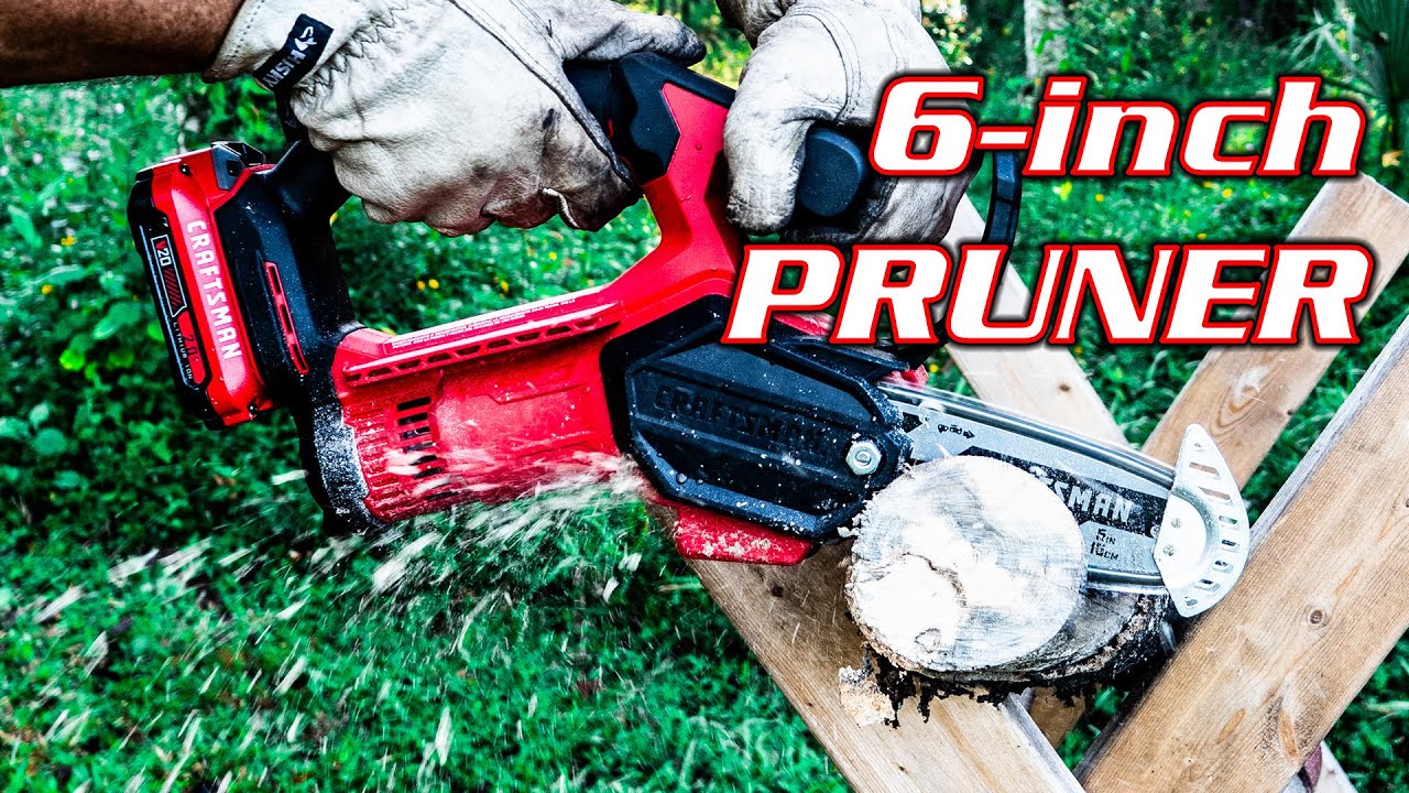 20V Max* Pruning Chainsaw Kit