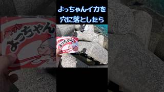 よっちゃんイカを穴に落としたら。