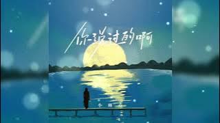 你说过的啊 Ni shuo guo de a 小雨点 Xiao yu dian