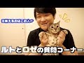 第3回ルトとロゼの質問コーナー
