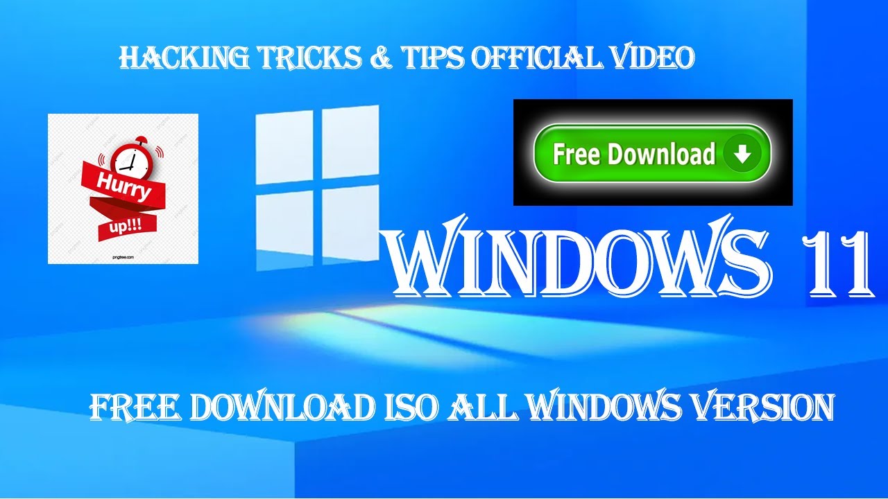 windows 11 download torrent