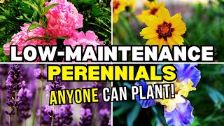 Grow a Garden with Ease: Top 15 Low-Maintenance Perennials ANYONE Can Plant! by When You Garden 803 views 1 month ago 9 minutes, 40 seconds