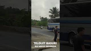 Bus Sumber Alam Naikin Penumpang shorts viral trending shortsvideo