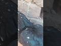 Ye Madi Kesi Ha Youtubeshorts Viralvideo Beauty Shorts Aseel 