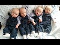 QUADRUPLETS And TRIPLETS - A Cute Triplet Babies And Quadruplets Compilation || Funny Baby Videos