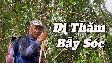 Đi Thăm Bẫy Sóc - Bẫy Sóc Tập 2