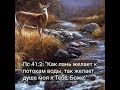 &quot;Как лань желает к потокам воды&quot; Соло на скрипке Анненкова Лилия, фортепиано Анненков Виталий