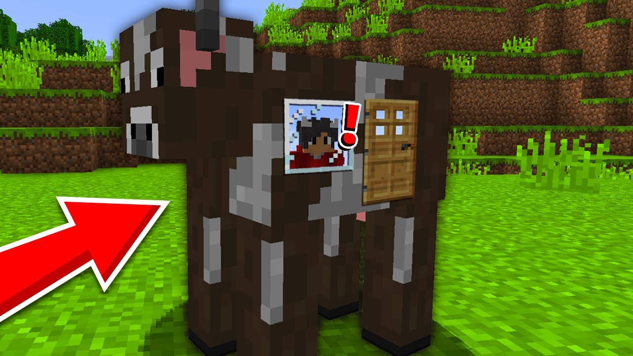 Jeg Bor I En KO I Minecraft!