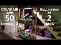 СТЕЛЛАЖ ДЛЯ ОРХИДЕЙ: МАТЕРИАЛЫ, 50 орхидей на 0,5 кв м