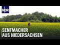 Senf - Der Scharfmacher des Nordens | Die Nordreportage | NDR Doku