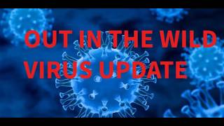 This Is Not Good: We Just Hit A Grim Milestone With 1 Of The Viruses