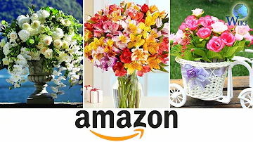 Amazon Flowers: 5 Fast Facts