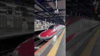 ♫  はやぶさ111号　E6系Z12編成 +E5系U17編成　盛岡駅到着     2026/1/4   #e6系