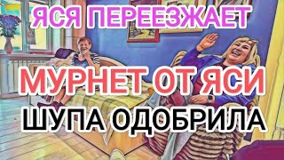 Самвел Адамян ЯСЯ ПЕРЕЕЗЖАЕТ / МУРНЕТ ОТ ЯСИ / ШУПА ОДОБРИЛА