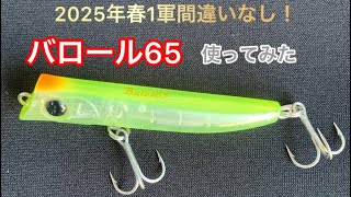 バロール65使ってマイクロベイトパターンやってみた ナイトシーバス 2025年2月下旬