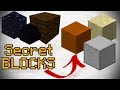 The Secret Blocks Of Minecraft