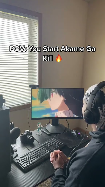POV: You Are Watching Akame Ga Kill For The First Time