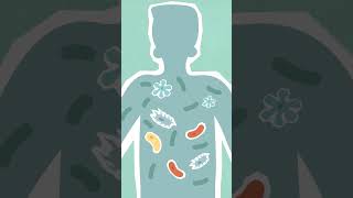 Antibiotics Alter Gut Microbiome for Up to 8 Years #Shorts