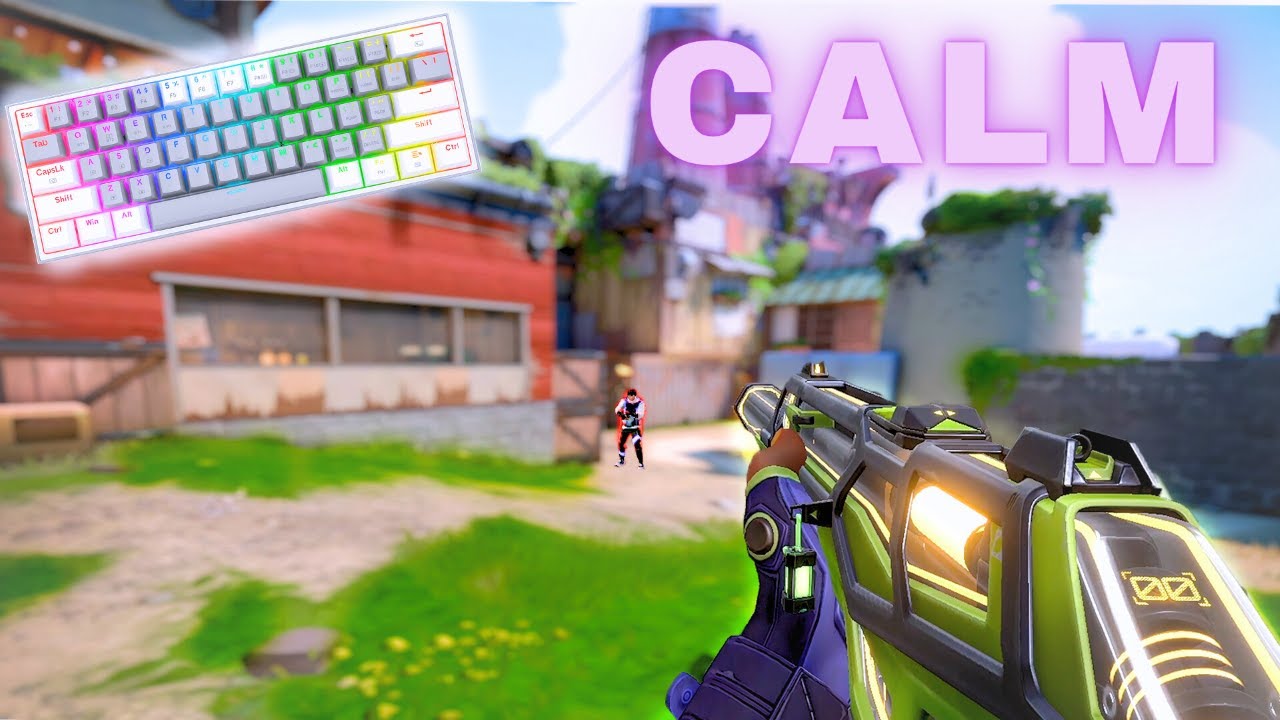 Valorant, But I've Mastered CALM Aim - YouTube