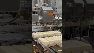 Cheese processing | Mozzarella cheese, cheddar cheese processing and packaging #cheese #cheeselover