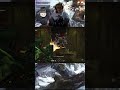 Помни стреляй в голову Warhammer 40000: Space Marine 2 Стрим 2 При поддержке моего котам
