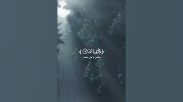 تلاوة من سورة المدثر ‏القارئ  بدر التركي #اكسبلور #الرحمن #راحة_نفسية #المصحف #حالات_واتس #الظروف ￼