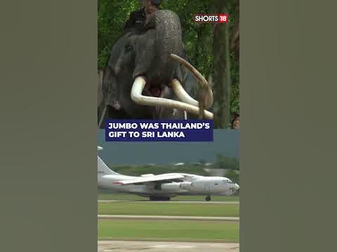 Ailing Elephant Arrives For Medical Treatment In Thailand From Sri