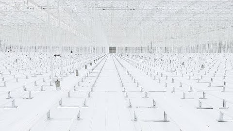 Secure your greenhouse, Protect your people, Install Agrolys WH FR