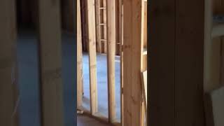 Bobcat Invades Construction Project by Climbing Trusses