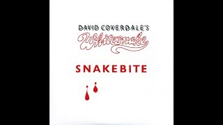 Video thumbnail of "Whitesnake - Aint No Love In the Heart Of The City HQ"