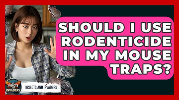 Should I Use Rodenticide In My Mouse Traps? - Insects and Invaders